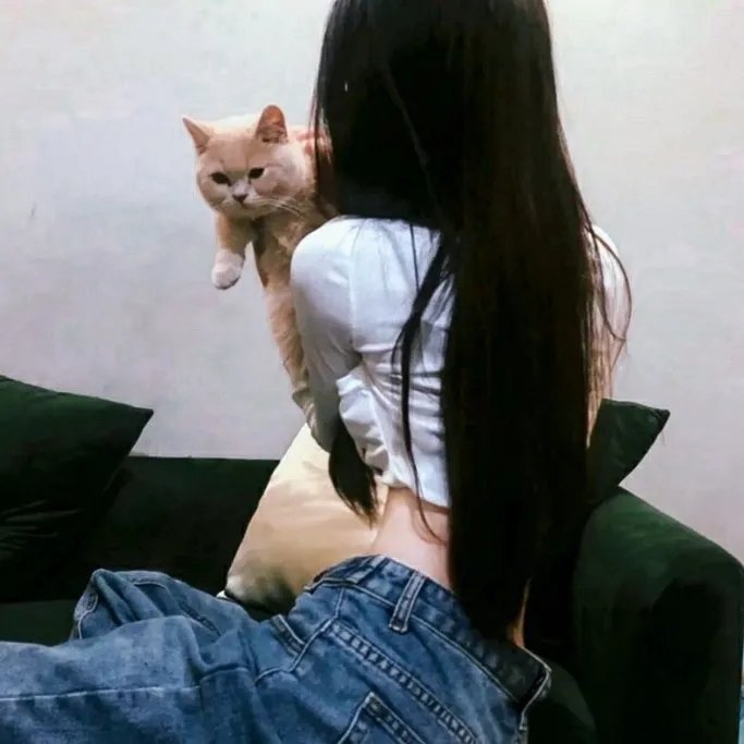 完美普通家庭